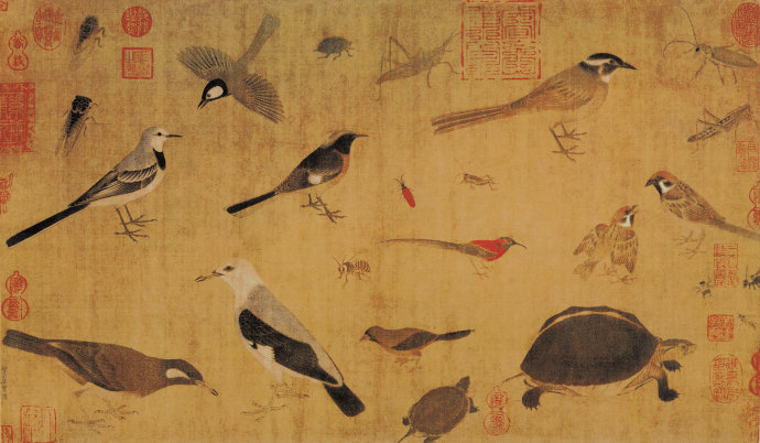 五代 黄筌 写生珍禽图 绢本设色 41.5×70公分 北京故宫博物院藏